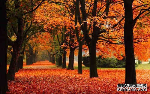 һ�仰������������Դ�ȫ��70����